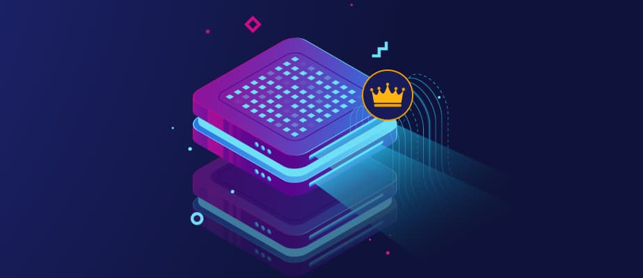 Elite proxies meaning
